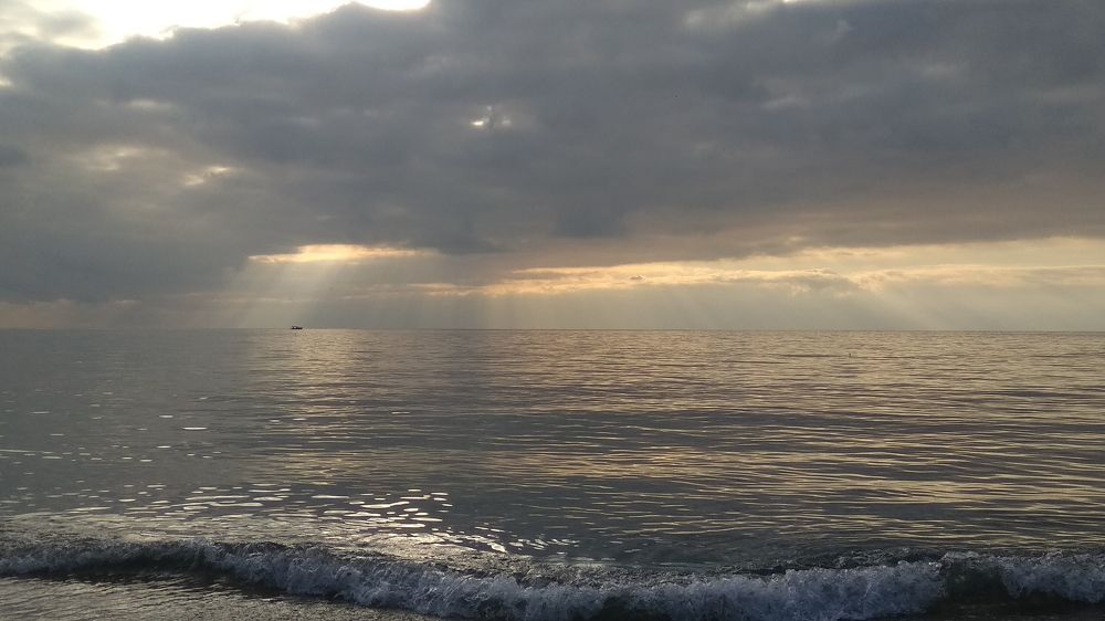 Море в ноябре