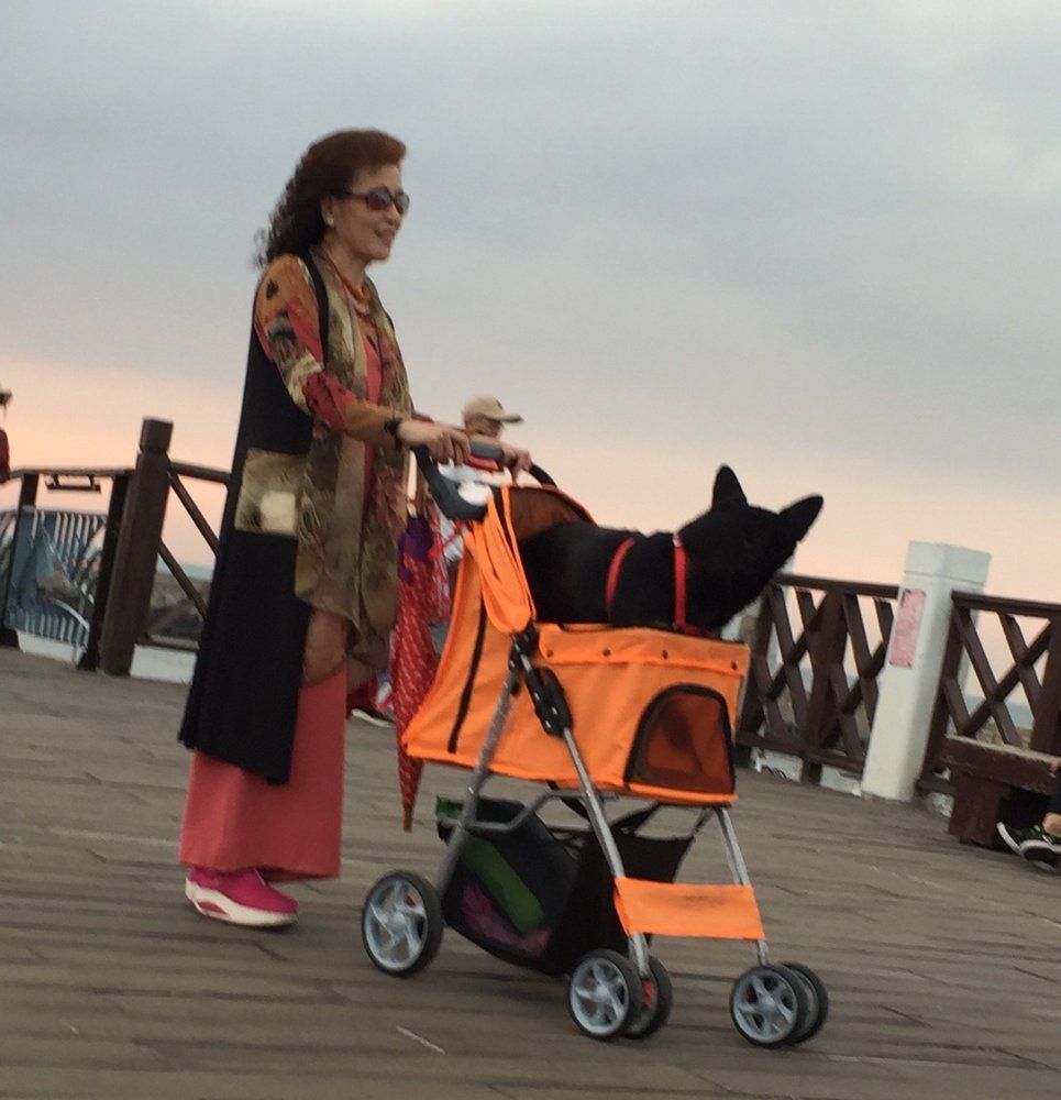 Photograph by Анар Амирова