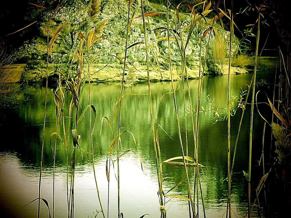 The lake