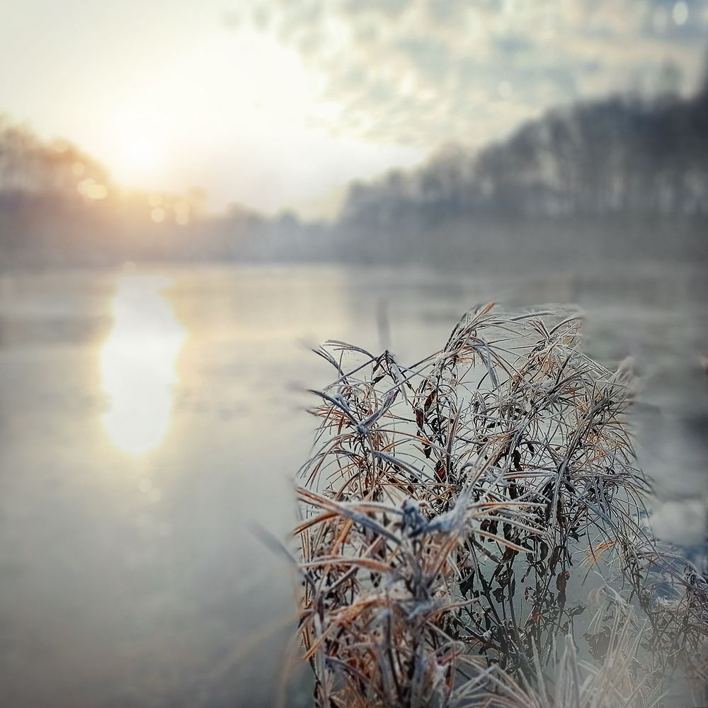 С первым осенним холодком жизнь начнется сначала.