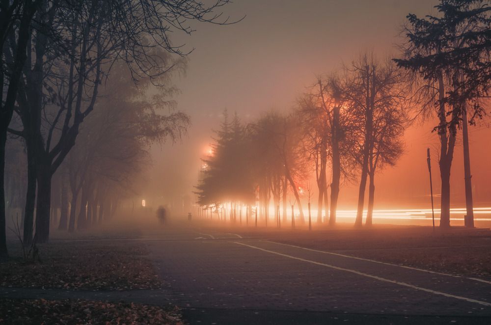 Photograph by Евгений Новицкий