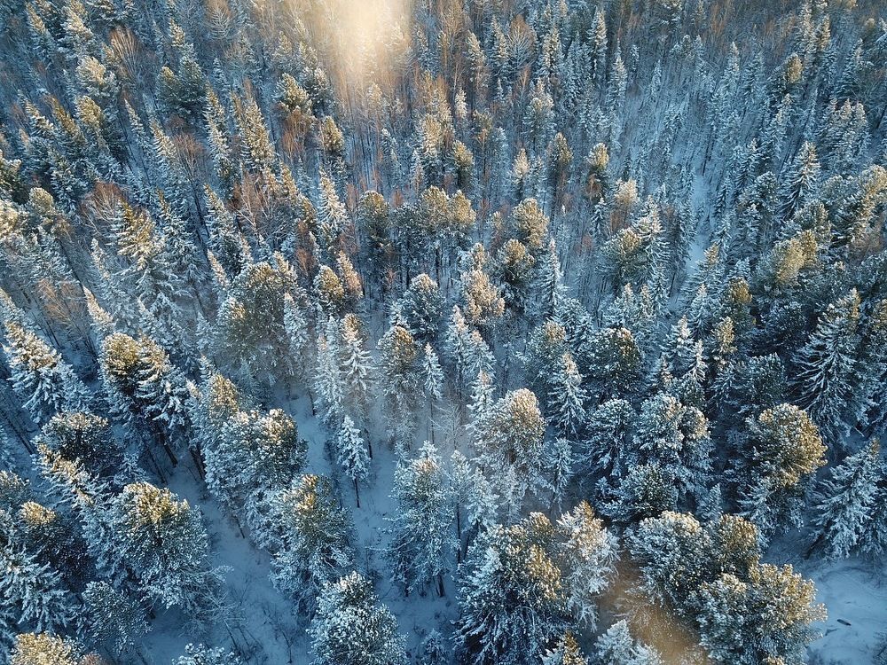 Photograph by Юрий