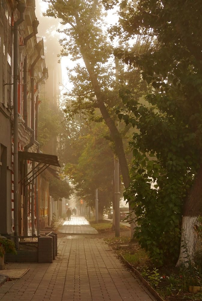 Photograph by Александр Попов