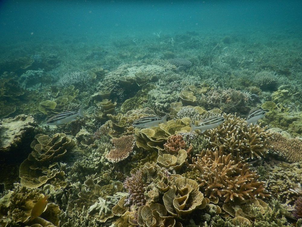 In The Opposite Direction