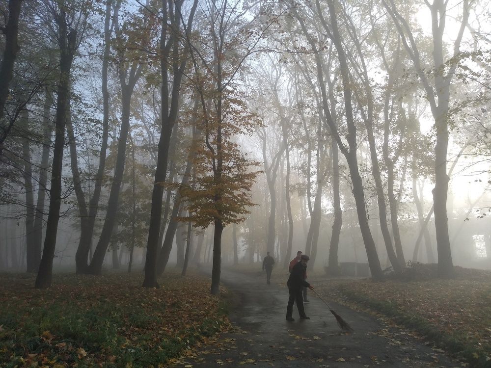 Туманное утро. Тернополь. Украина