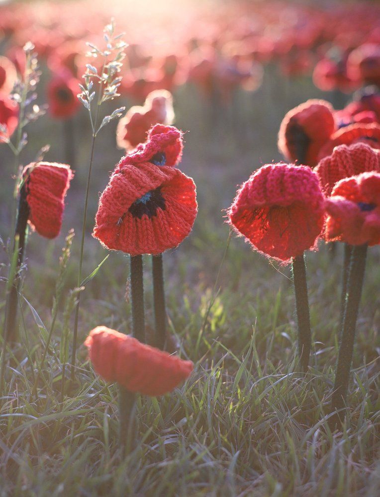 Honour their spirit. Вязаные маки в знак памяти жертвам Первой Мировой Войны