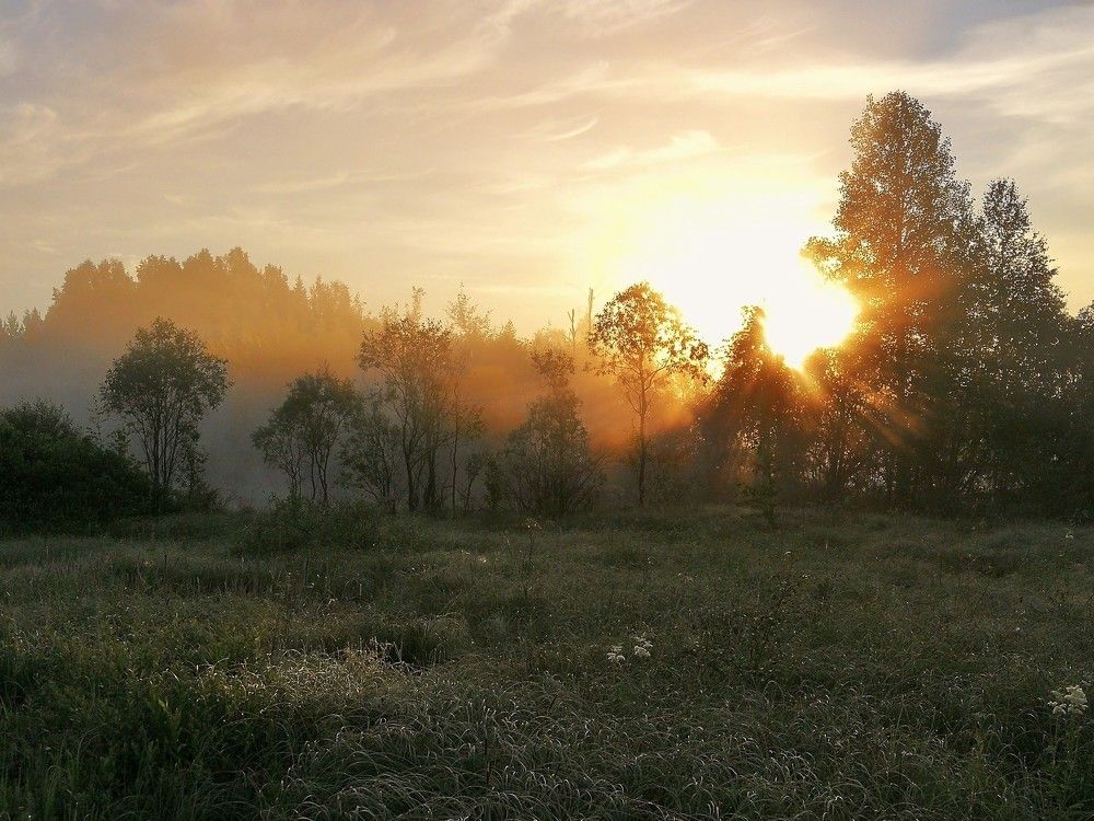 Туманное солнце
