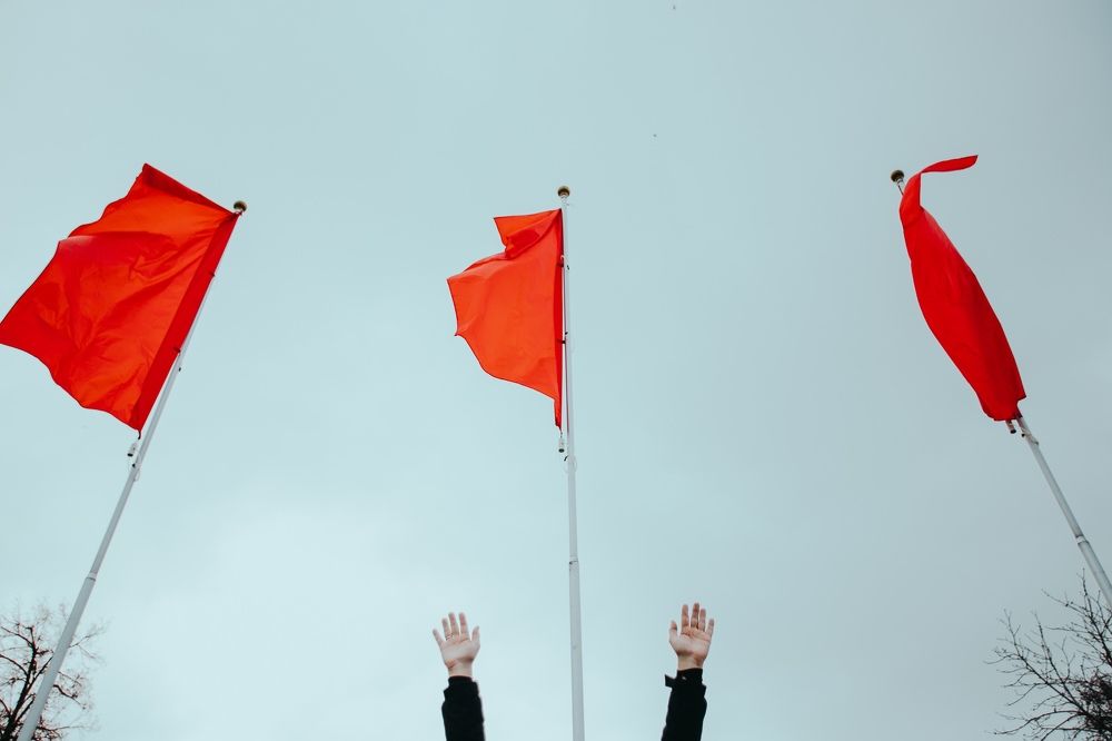 Сдаваться или лететь