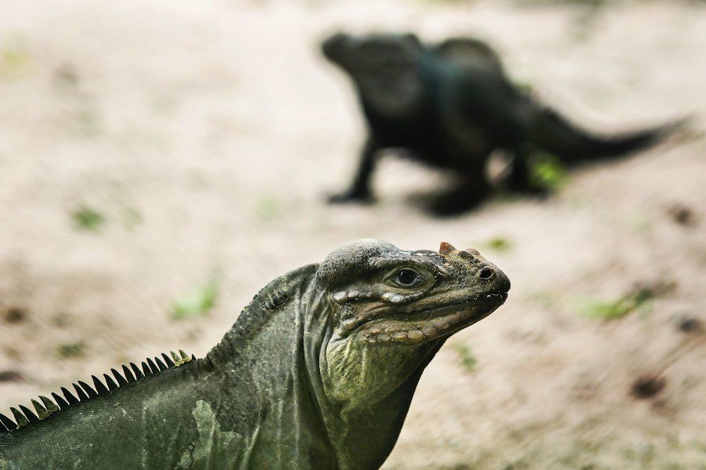 Мы тоже за вами наблюдаем