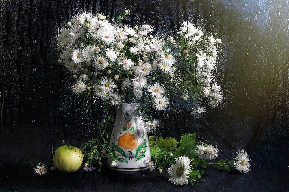 Белые астры