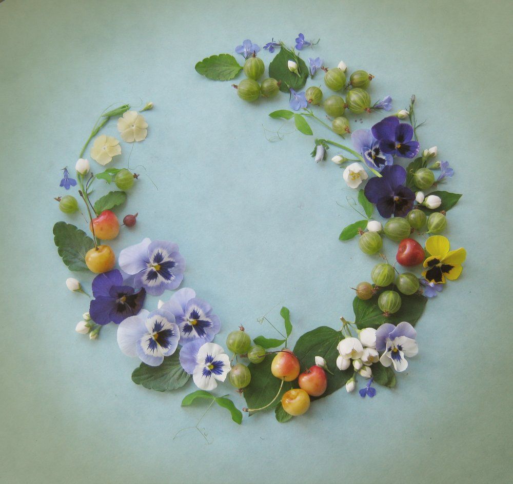 Анютины глазки ....