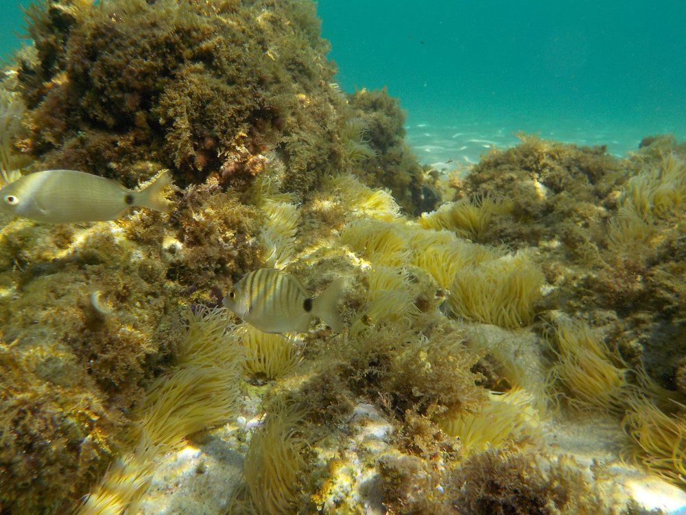 Photograph by Predrag Kostin