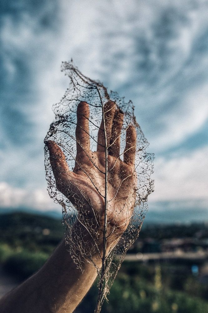 Photograph by Виктория Абрамова