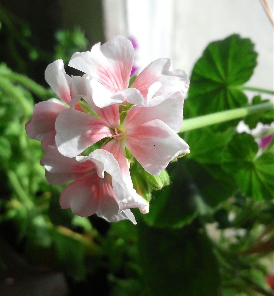 Photograph by Василий