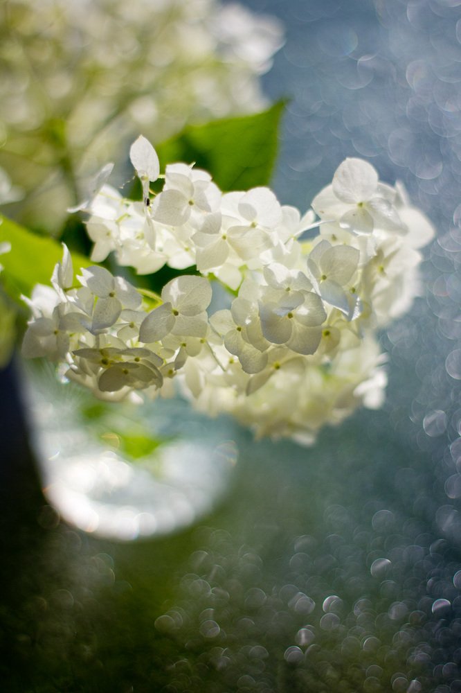 Свежесть утра