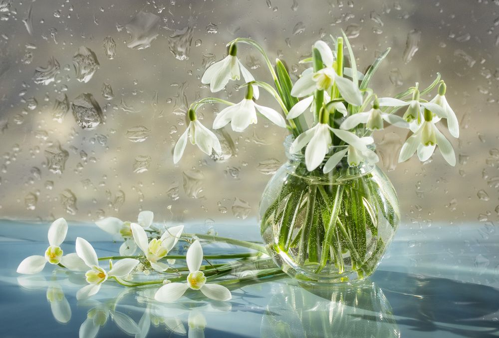 Подснежники