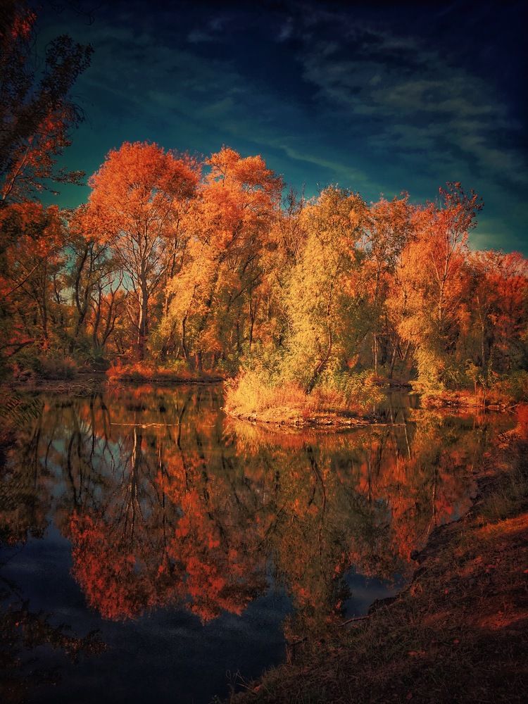 Краски осени.