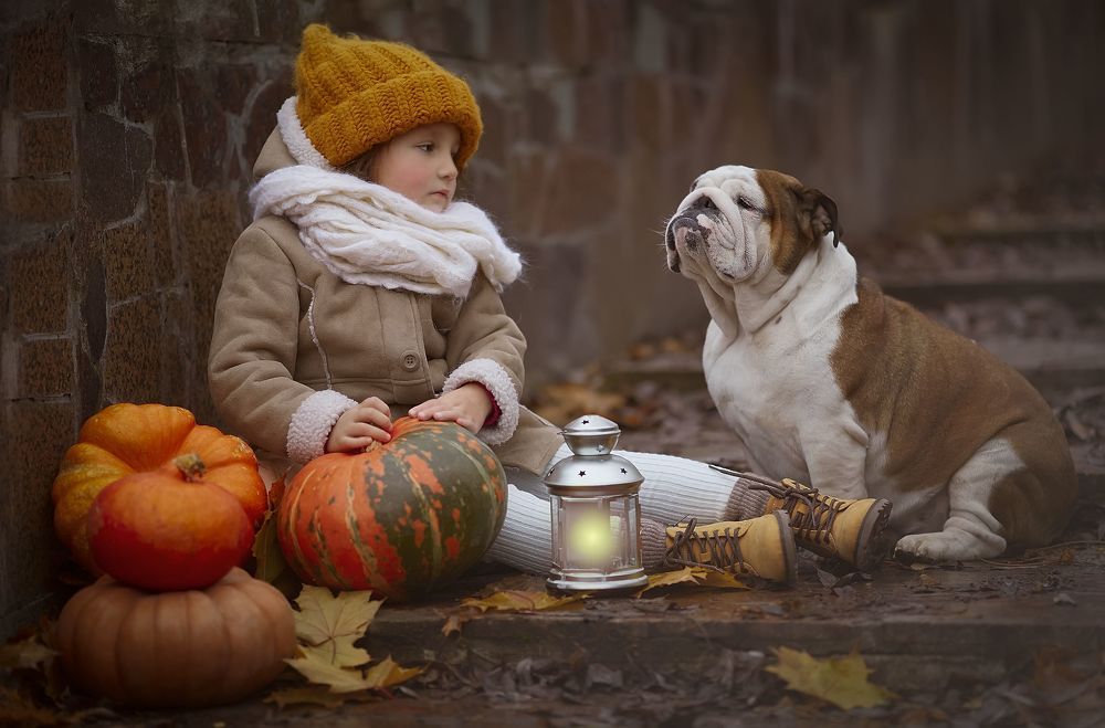 Однажды в ноябре