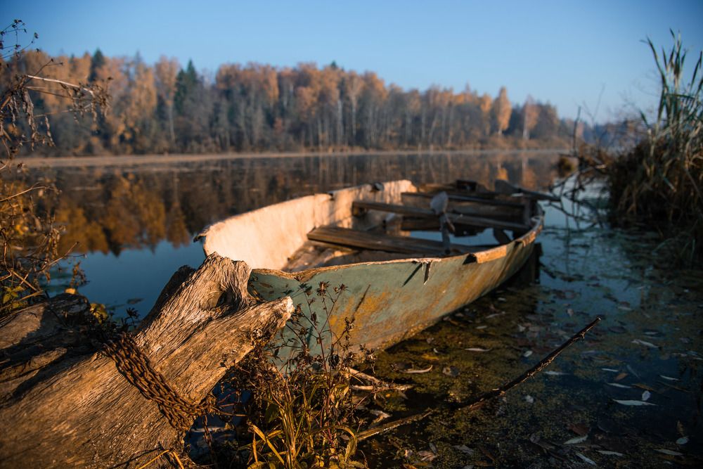 Photograph by Прокошева Екатерина