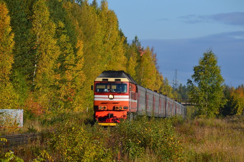 Сквозь осенний лес
