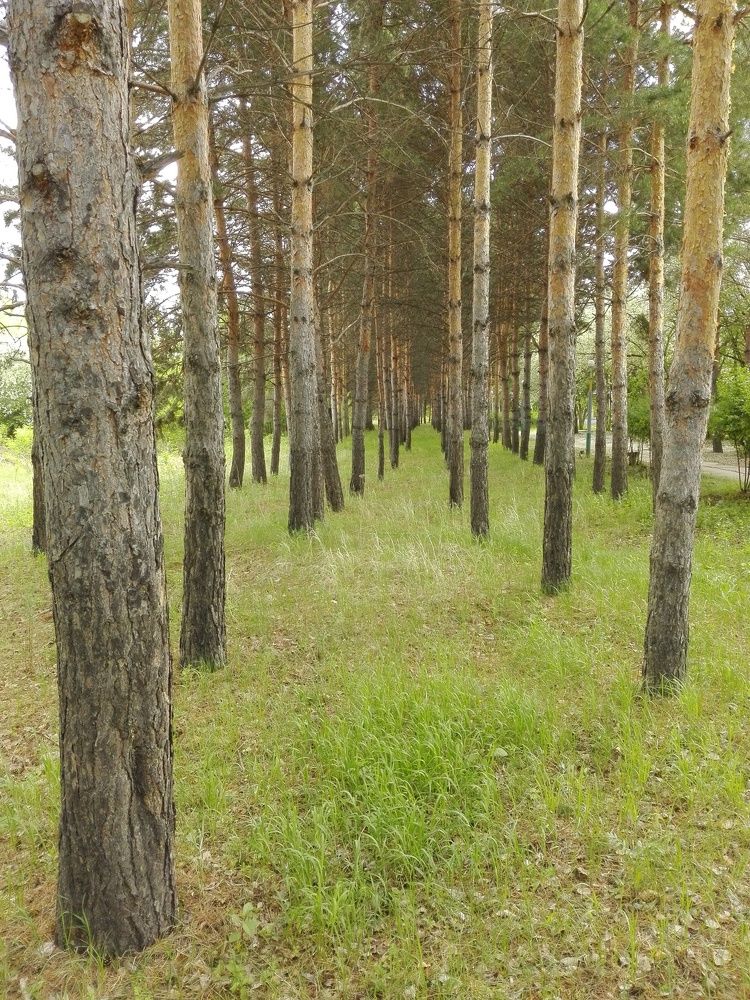 Лагерь отдыха