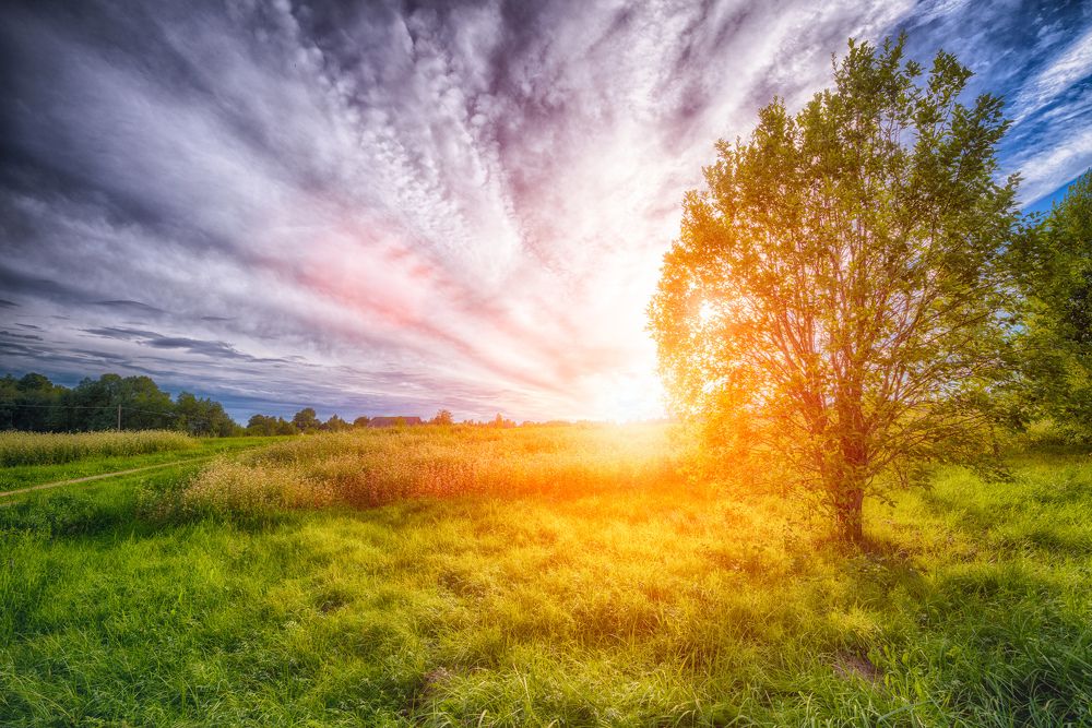 Photograph by kanturu