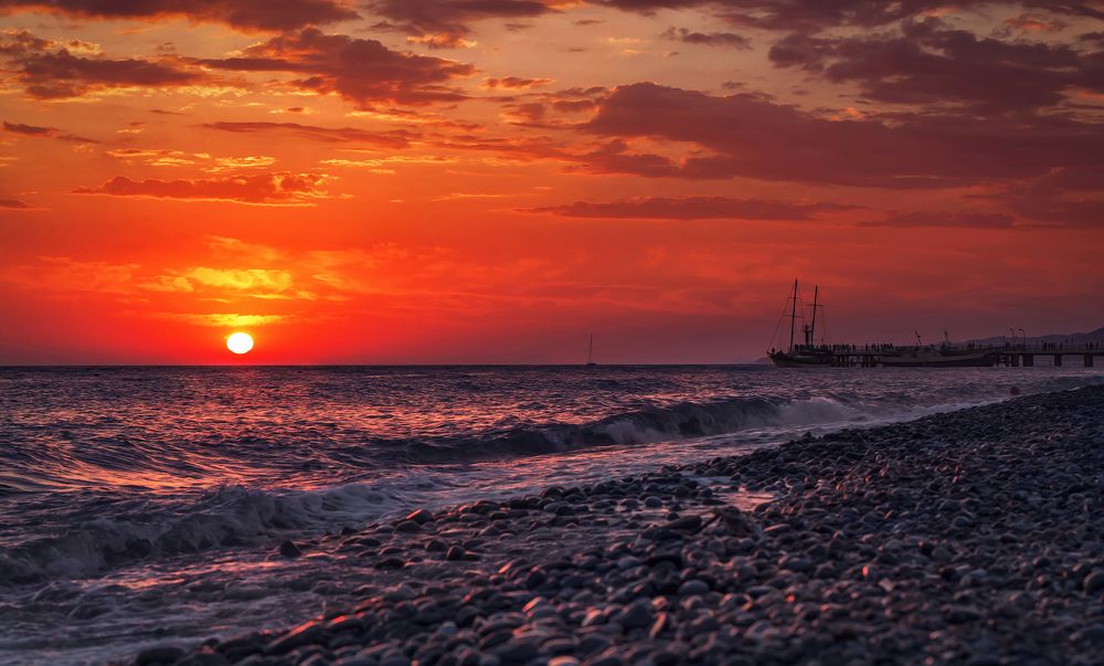 Фотография автора Ольга Сорокина