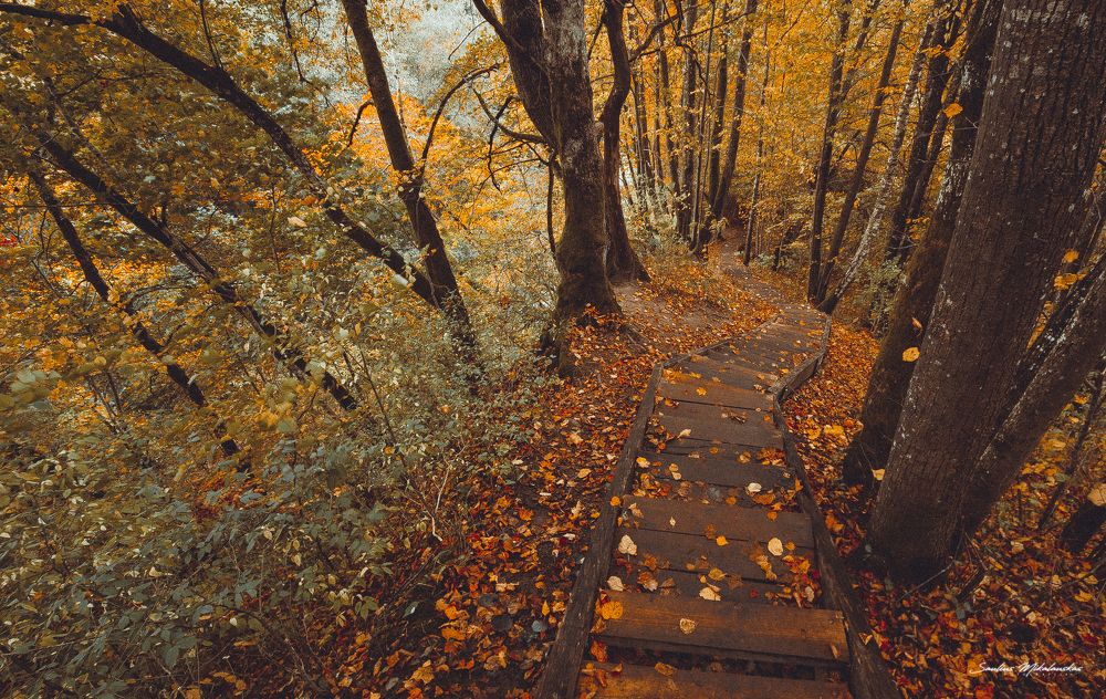 Stairs to autumn