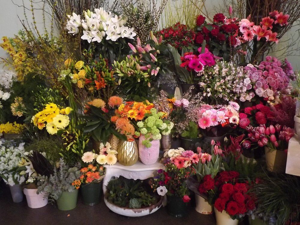 Разноцветье