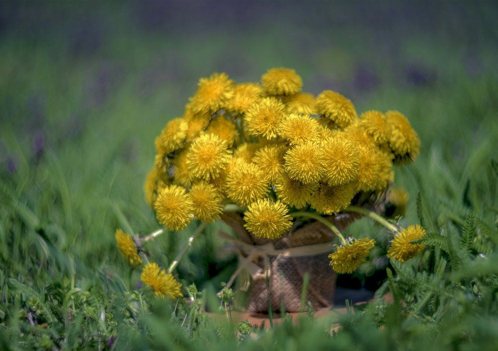 Незатейливый букет.....