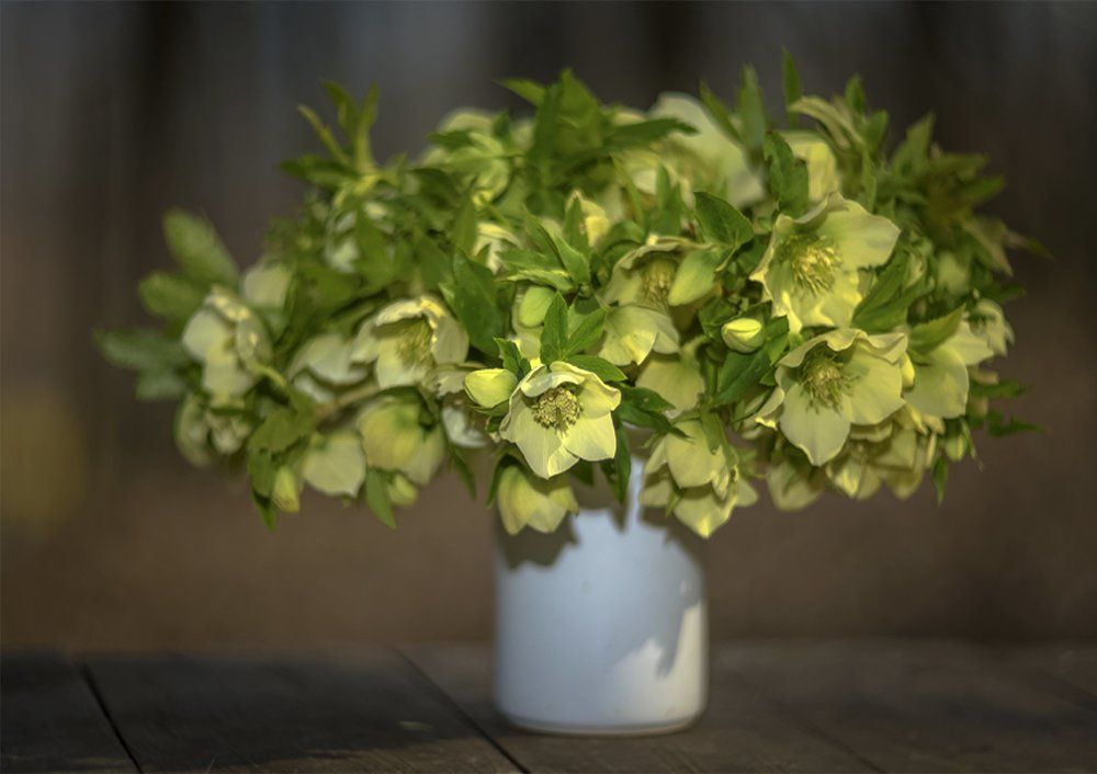 Весенний натюрморт....