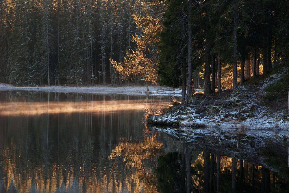 Low sun
