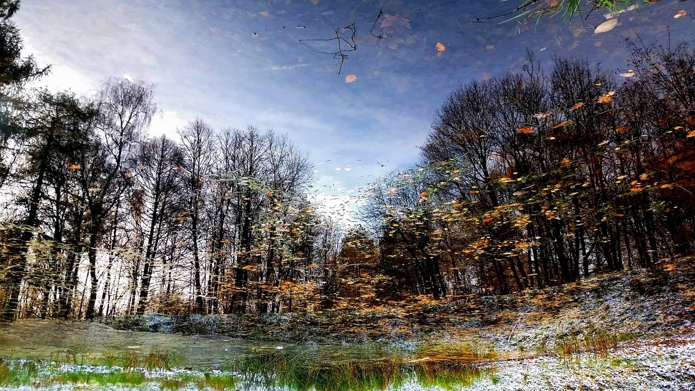 Тихая осень