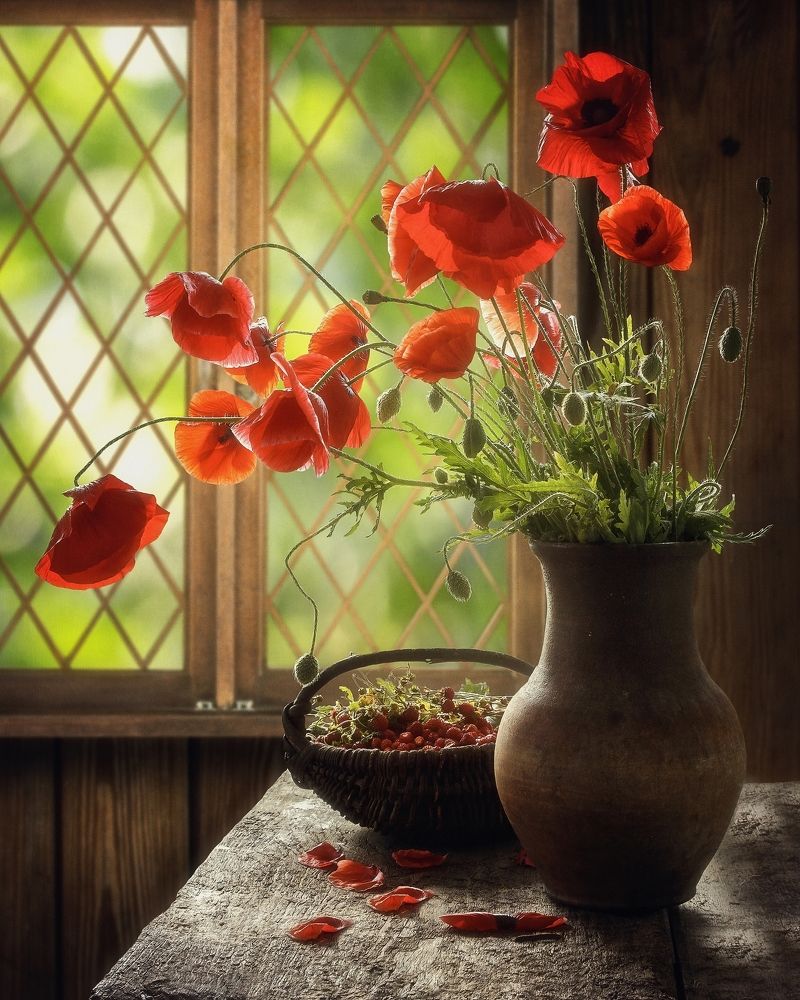 Натюрморт с маками