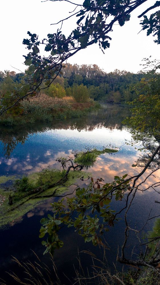 в отражении