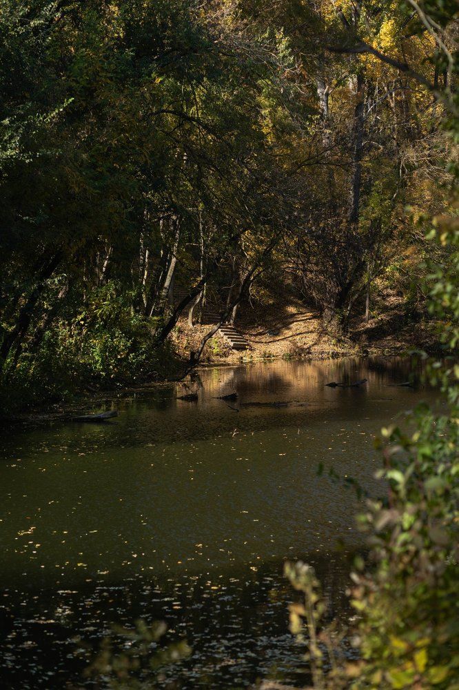 Photograph by Павел Ефанов