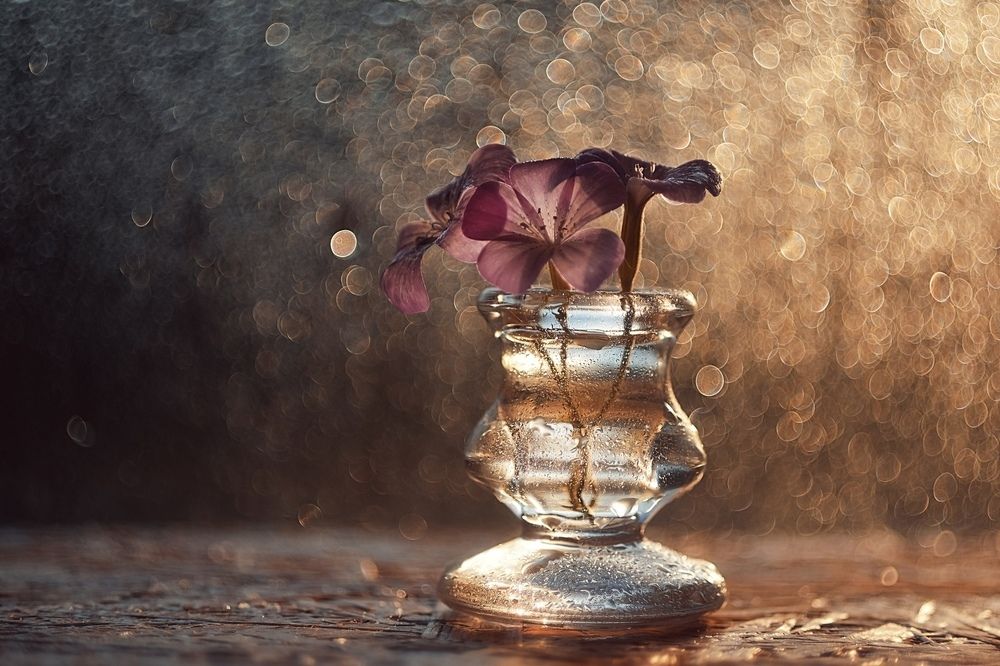 Три сестрицы в свете заката