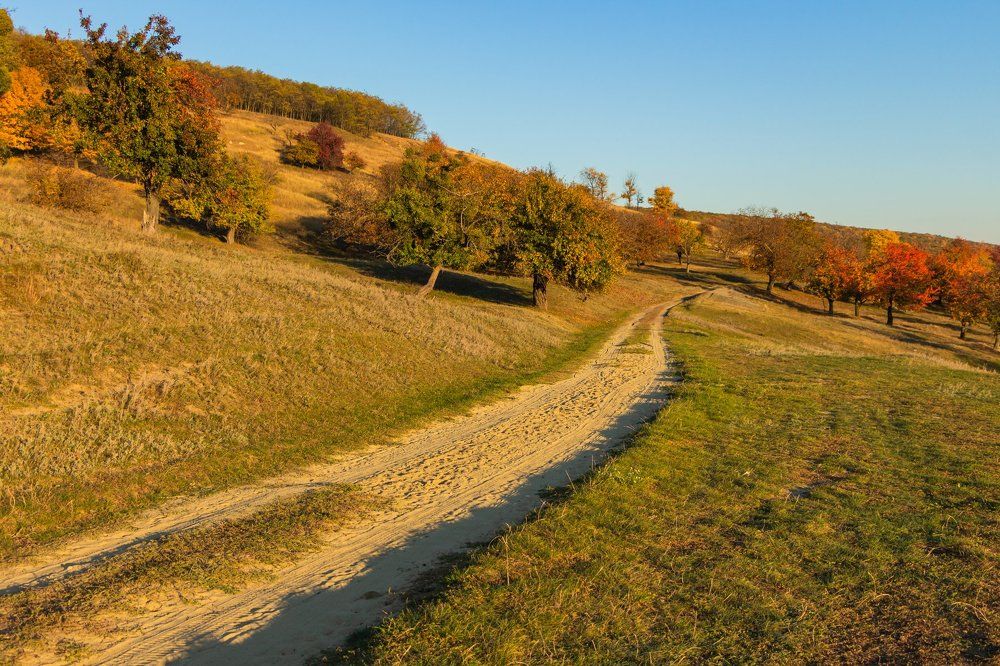 Photograph by Павел Ефанов