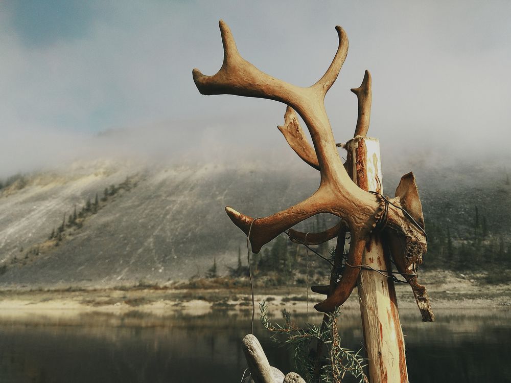 Сплав по Олекме