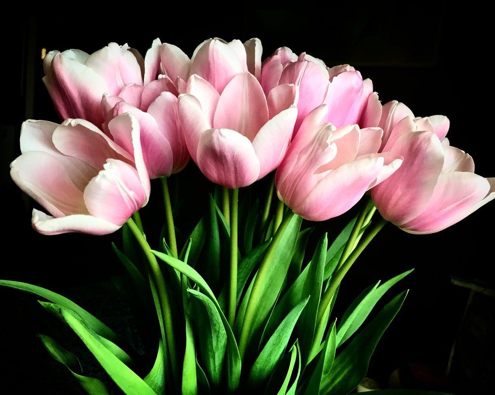 Photograph by Евгения