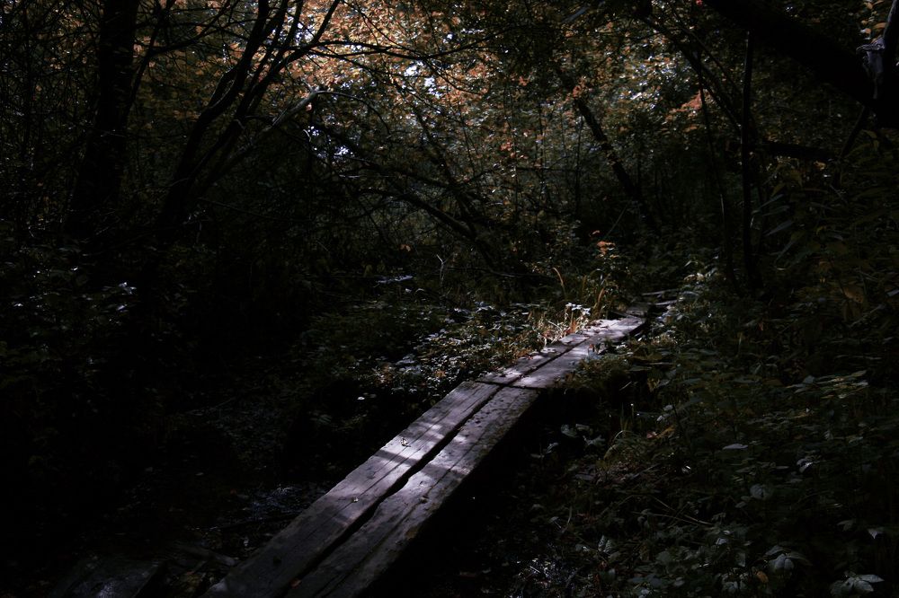 road to somewhere