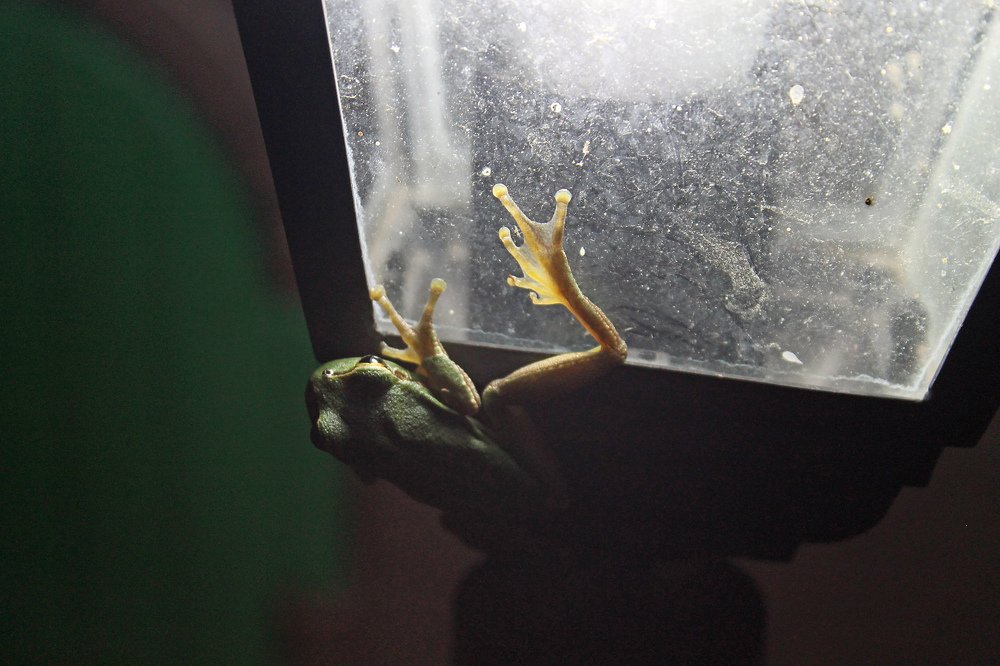 Photograph by Галина