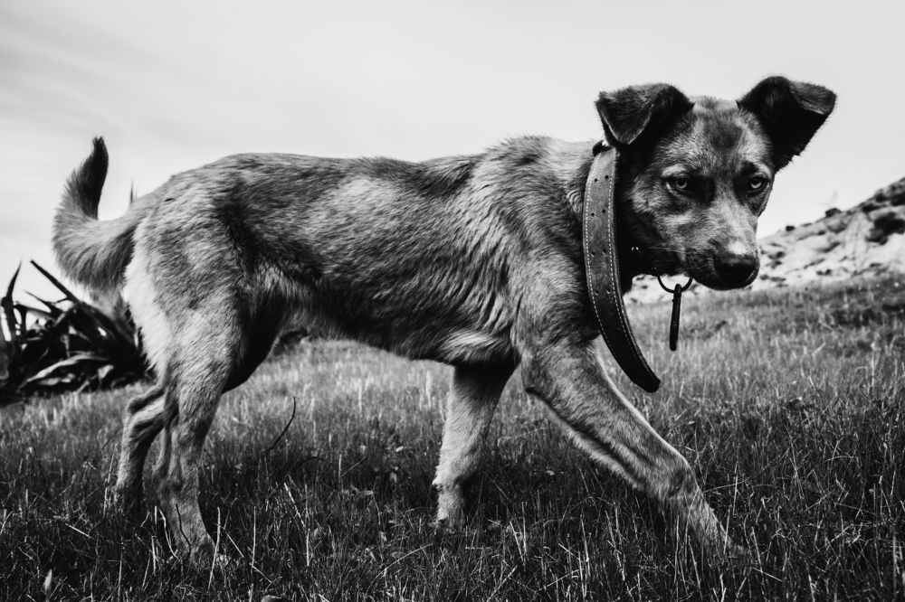 Photograph by Bensedik Mohammed Nassim