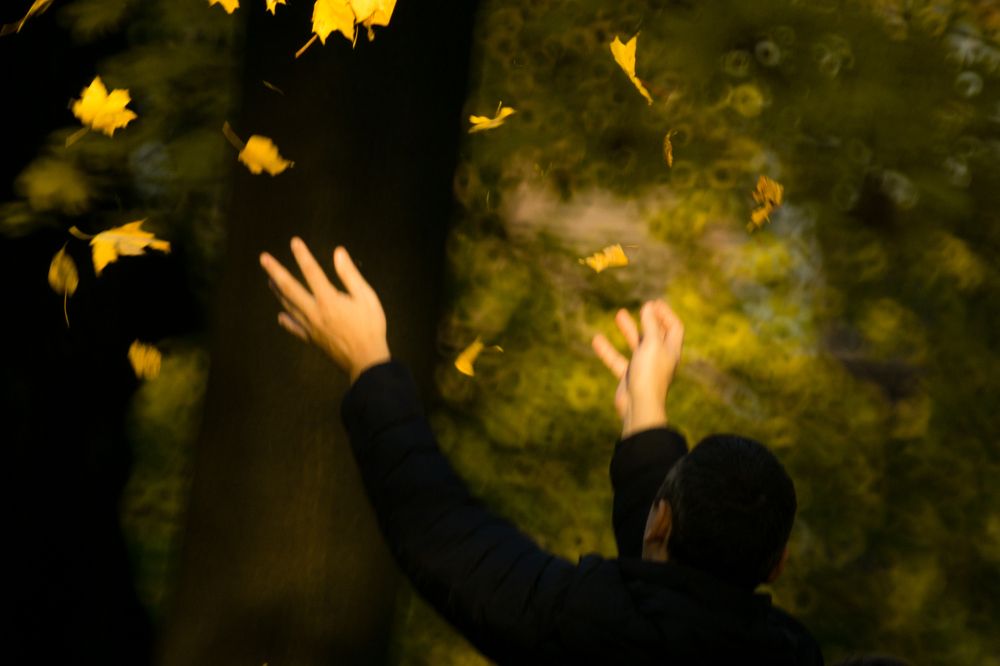 Magic. Autumn