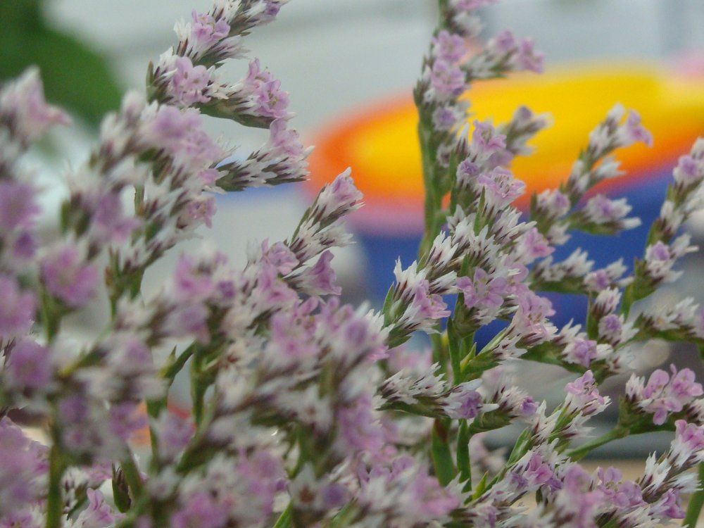 эстетика заключается в простоте.