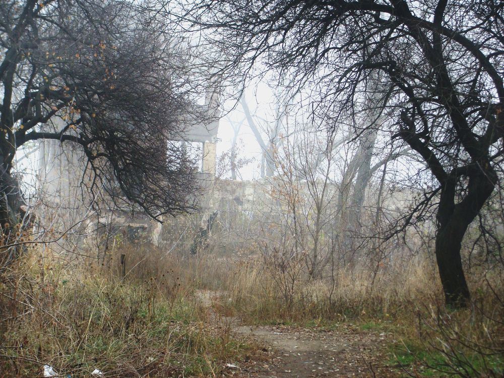 туман завораживает