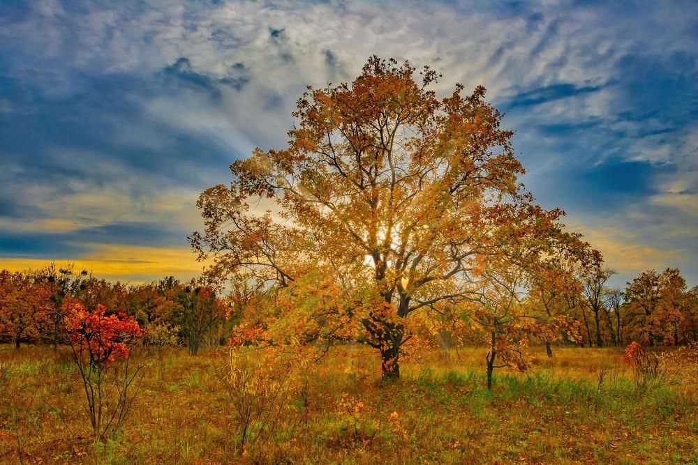 Осенний закат ...