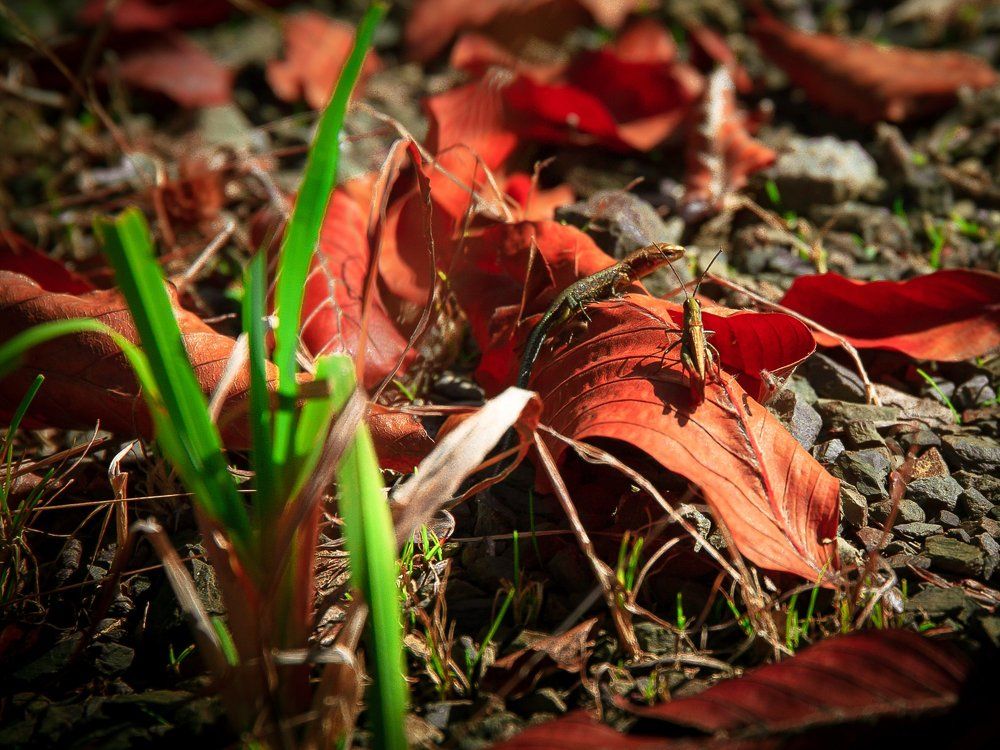 Последняя встреча перед зимой