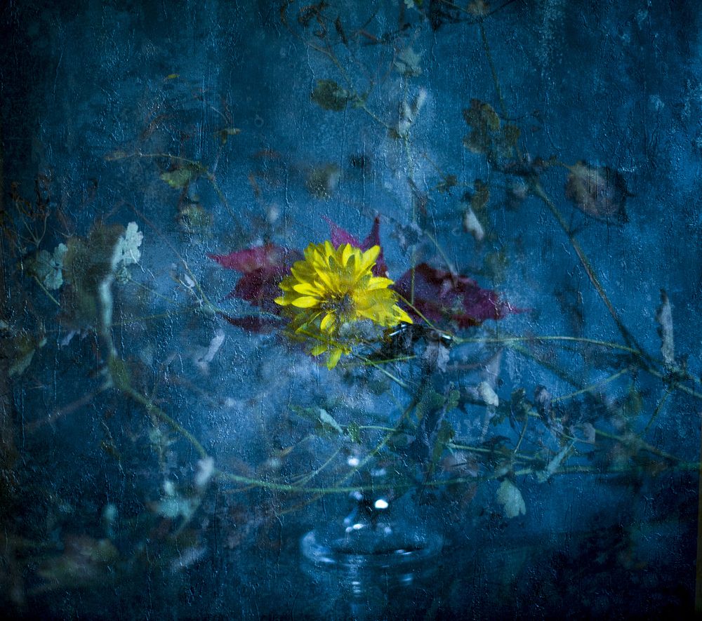 Композиция №1