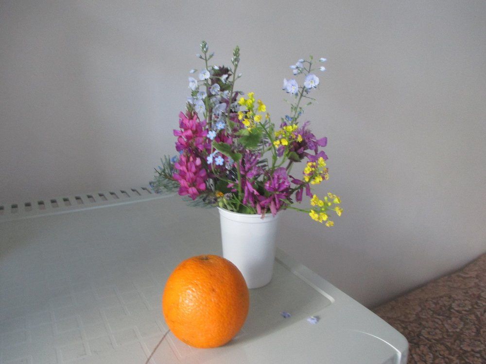 Кавказские цветы